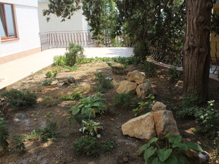 IMG_0824.JPG