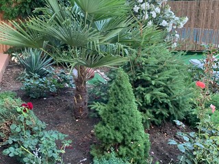 IMG-20190708-WA0025.jpg