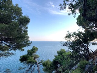 IMG-20190708-WA0036 (1).jpg