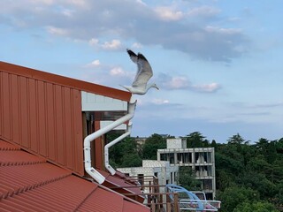 IMG-20190708-WA0039.jpg